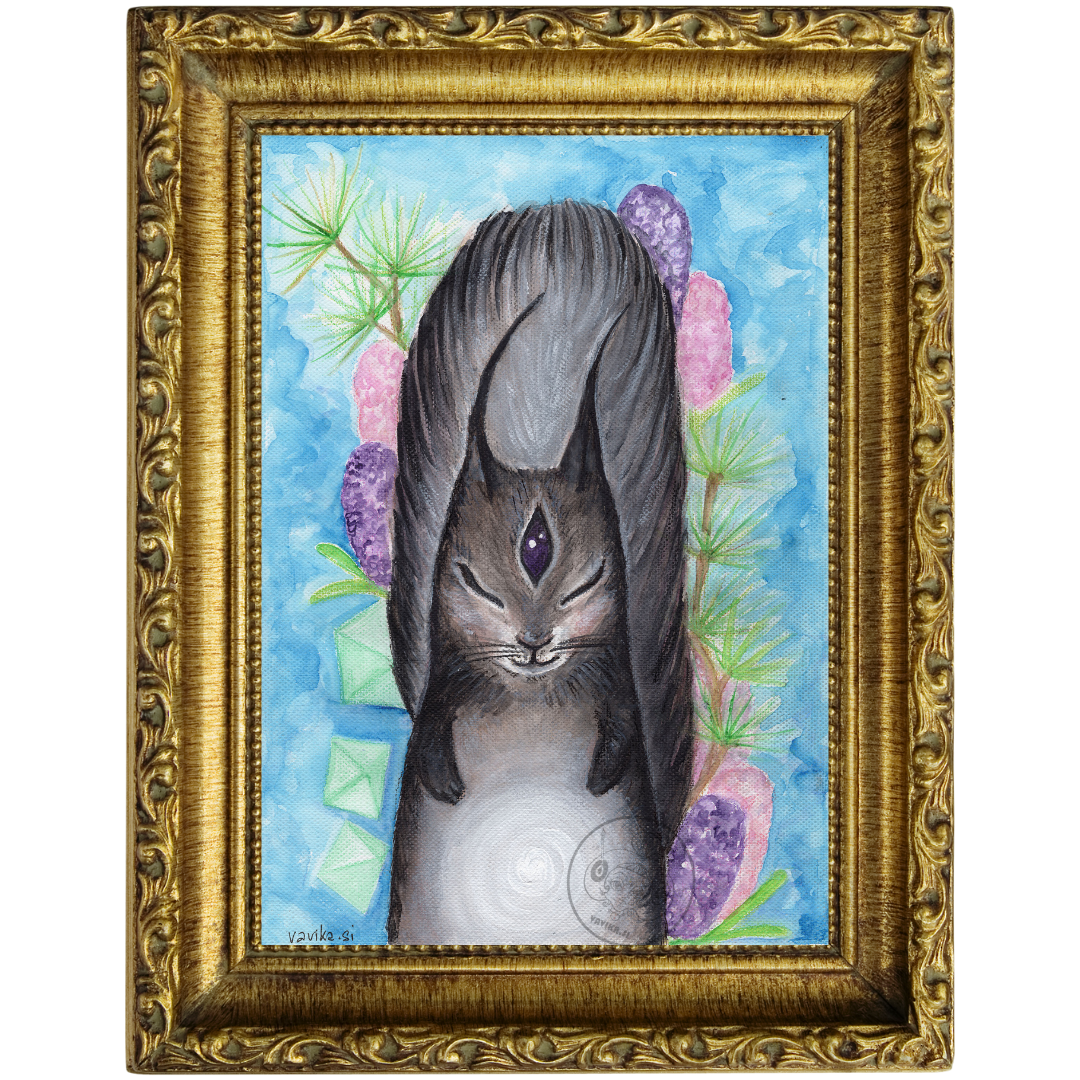 Živalski Vodnik Veverica