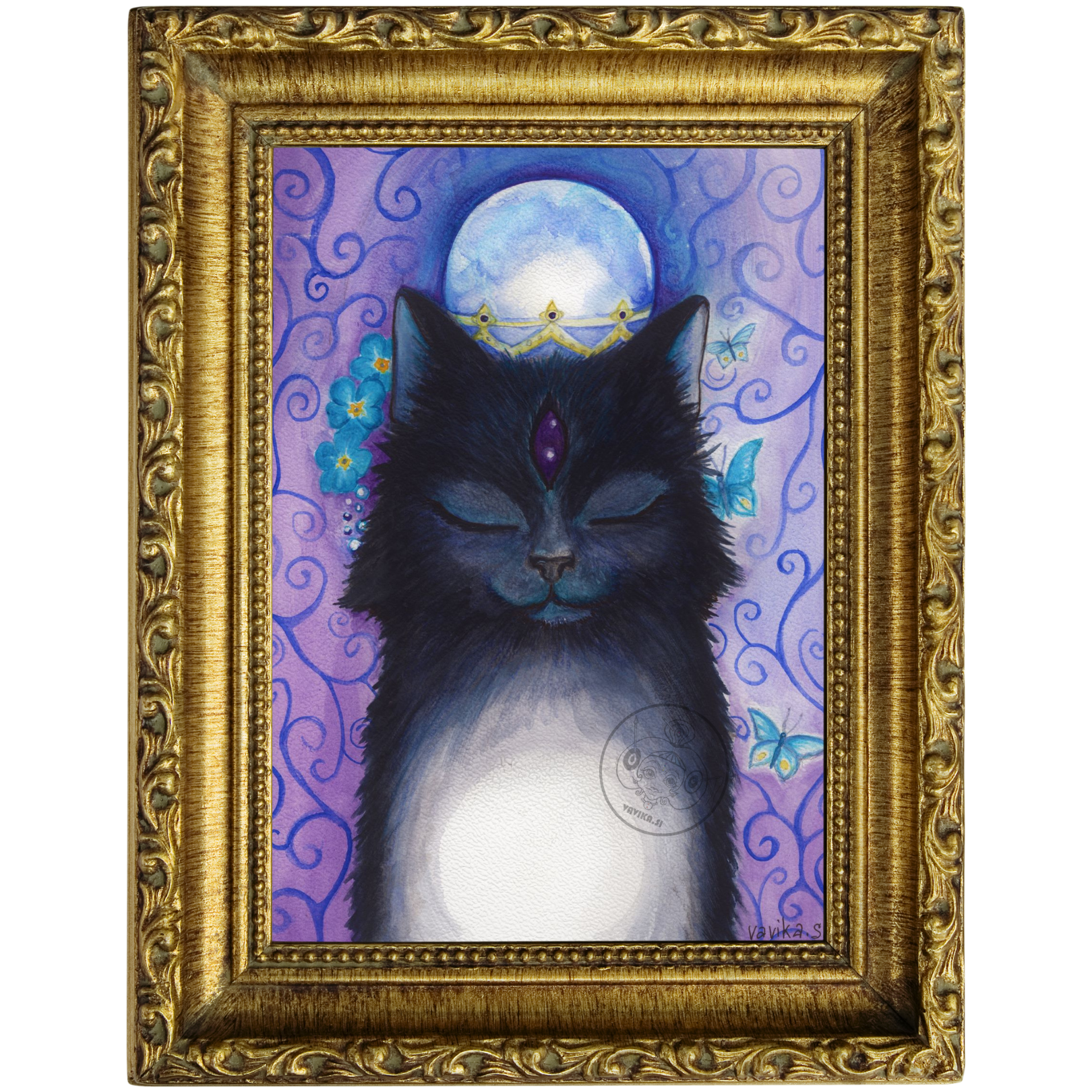 Živalski vodnik Črna Mačka